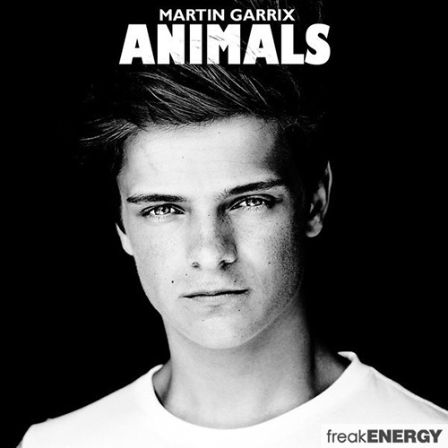 Animals - Martin Garrix (pi easy digital download)