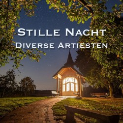 Stille Nacht - Diverse Artiesten
