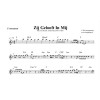 Zij Gelooft In Mij - André Hazes. Play Along (download) Zij Gelooft In Mij - André Hazes. Play Along (download)